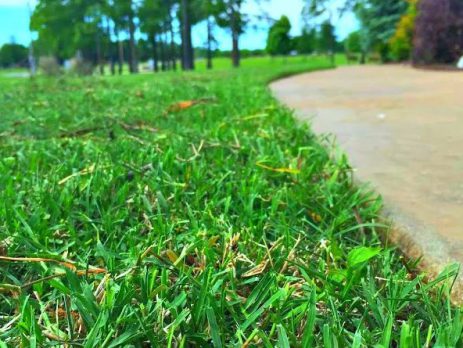 Lawn Treatments Tulsa OK