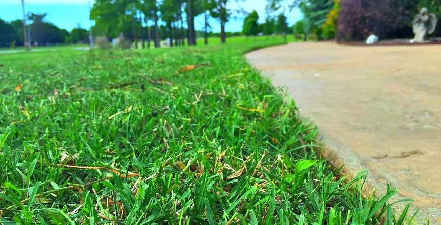 Lawn Treatments Tulsa OK