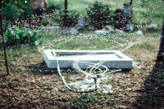 sprinkler